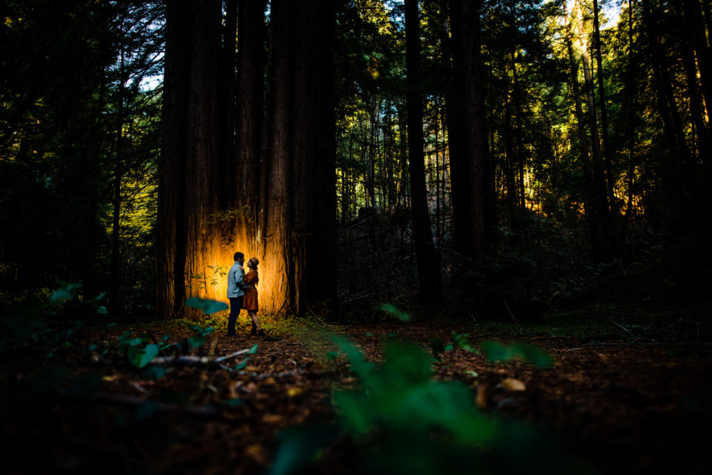 Engaged couple in redwoods forest silhouetted by light.